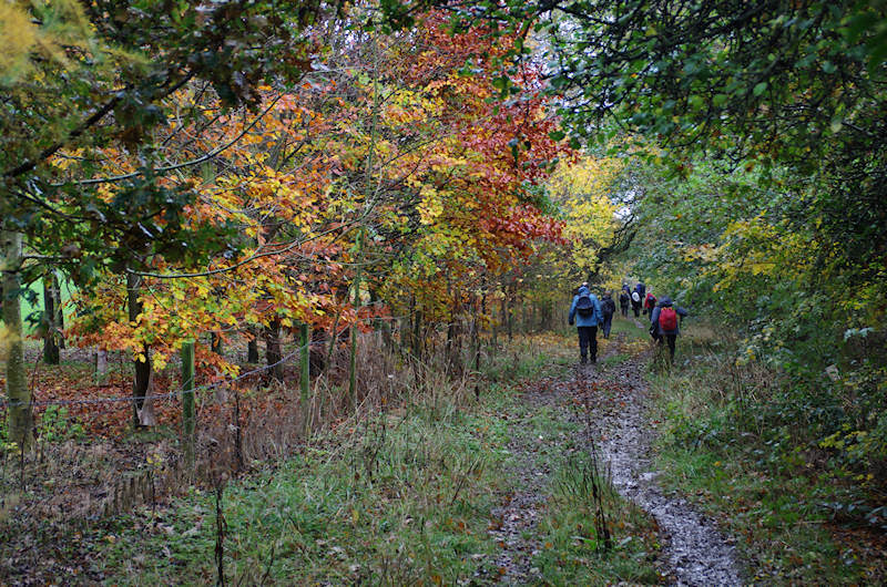 Rambling Club