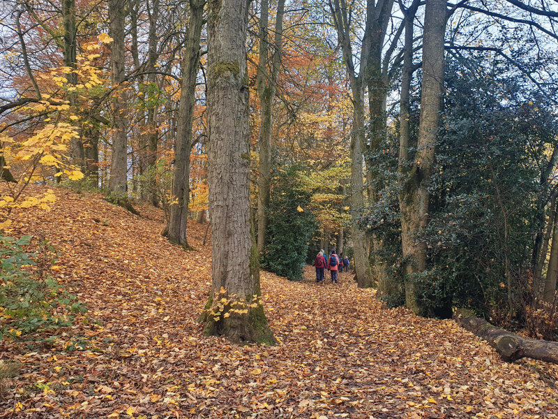 Rambling Club